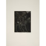 Kacper Bożek, Teka 13 grafik. Rękopis znaleziony w Saragossie, 2013