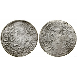 Polska, grosz, bez daty, Głogów