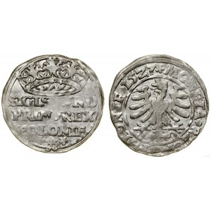 Poland, grosz, 1527, Kraków