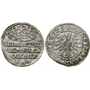 Polska, grosz, 1528, Kraków