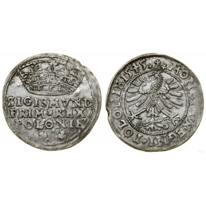 Poland, grosz, 1545, Cracow