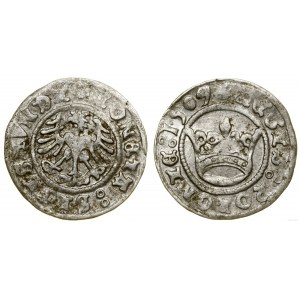 Polska, półgrosz, 1509, Kraków