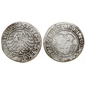 Pologne, sheląg, 1532, Elbląg