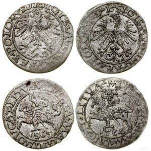 Polska, zestaw 2 x półgrosz, 1564, 1565, Wilno