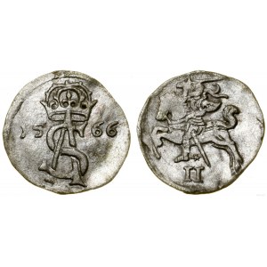 Polska, dwudenar, 1566, Wilno
