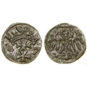 Polska, denar, 1549, Gdańsk