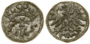 Poland, denarius, 1555, Gdansk