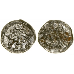 Poland, denarius, 1556, Gdansk