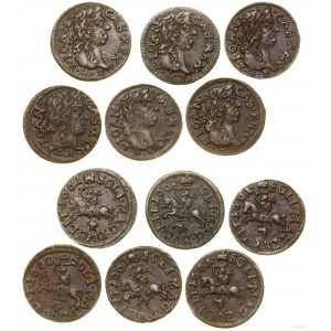 Polska, zestaw: 6 x szeląg miedziany (boratynka), 1660-1661, Ujazdów