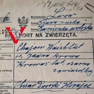 JUDAIKA, Chajm Waisbutt, Lviv 1926, Passport to Animals, Interesting Document