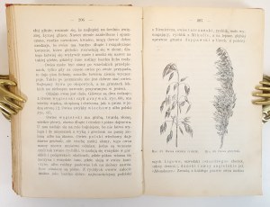 MICZYŃSKI Kazimierz - ROLNIK WZOROWY czyli przypomnienie co, kiedy i jak w gospodarstwie czynić należy. In the series Biblioteka Macierzy Polskiej nr.6, wyd.1909