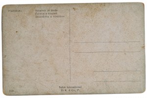 COLOR POCKET WITH IMAGE REPRODUCTION - Susannah in the bath