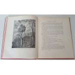 SCHREIBER Witold - MARRIAGE AND ITS DAYS Wyd.1903 Illustrations