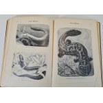 MARSHALL William - ATLAS OBRAZKOWY ZOOLOGII RYB, PŁAZÓW I GADÓW / Bilder-Atlas Zur Zoologie Der Fische, Lurche Und Kriechtiere z 208 drzeworytami, wyd. 1898