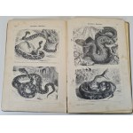 MARSHALL William - ATLAS OBRAZKOWY ZOOLOGII RYB, PŁAZÓW I GADÓW / Bilder-Atlas Zur Zoologie Der Fische, Lurche Und Kriechtiere z 208 drzeworytami, wyd. 1898