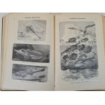 MARSHALL William - ATLAS OBRAZKOWY ZOOLOGII RYB, PŁAZÓW I GADÓW / Bilder-Atlas Zur Zoologie Der Fische, Lurche Und Kriechtiere z 208 drzeworytami, wyd. 1898