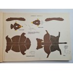 TYRAKOWSCY Z. i W. - MOJE ZOO - zeszyt I (Europa) z kolorowymi tablicami - wydanie I z 1960 r.