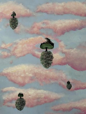 Weronika Sobecka, Mushrooms, 2025