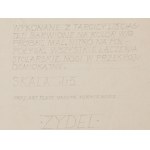 Danuta Widajewicz-Turkiewicz (1930 - 2014), Projekt zydla, 1969