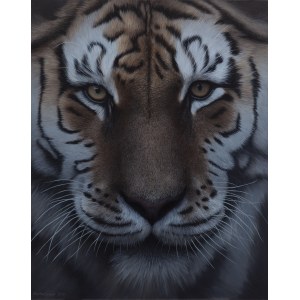 Kornel Mierzejewski (né en 1997 à Toruń), tiger_01, 2024