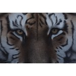 Kornel Mierzejewski (né en 1997 à Toruń), tiger_01, 2024
