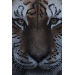 Kornel Mierzejewski (né en 1997 à Toruń), tiger_01, 2024