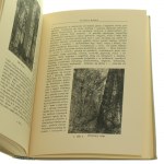Puszcze polskie Ossendowski Ferdynand Antoni [Cuda Polski / lata 30.]