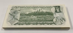 Lotto di banconote da 1 dollaro della Banca del Canada 1973 (49 pezzi)