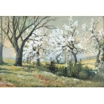 Fryderyk KLOPFER (1865-1942), Wiosna - kwitnący sad