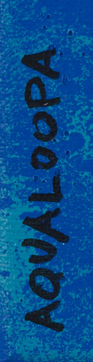 Igor Chołda \ aqualoopa (ur. 1978), 