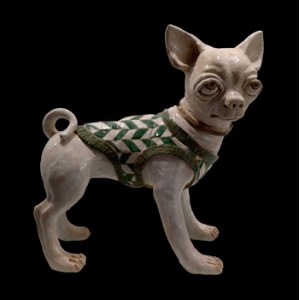 Studio IDA - Chihuahua