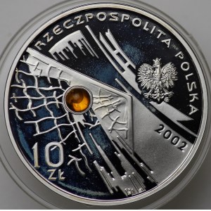 Troisième République, 10 médailles d'or 2002, Coupe du monde Corée et Japon 2002