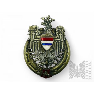 Odznaka 10. Pułk Ułanów Litewskich, Kopia