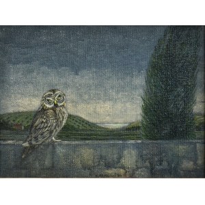 GIOXE DE MICHELI, La civetta nel paesaggio