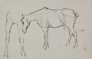 Karol Kossak (1896-1975), Szkice pasącego się konia, 1922
