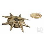 PSZnZ Soldier Badge of the 14th Armoured Cavalry Regiment - Mackay &amp; Chisholm Edinburgh