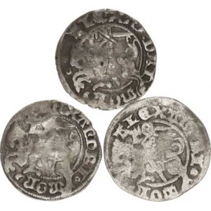 Polsko, Alexandr Jagellonský (1492-1506), 1/2 Groš litevský b.l., Wilno (3x) 3 ks, nedor.