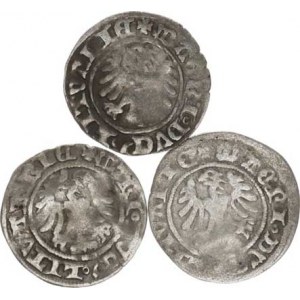 Polsko, Alexandr Jagellonský (1492-1506), 1/2 Groš litevský b.l., Wilno (3x) 3 ks, nedor.