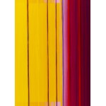 Karolina Radoch (b. 1989, Ryn), Oxymoron 38: Conforming disputes, 2022
