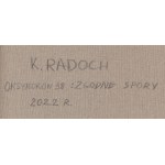 Karolina Radoch (b. 1989, Ryn), Oxymoron 38: Conforming disputes, 2022