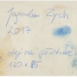 Jagoda Zych (ur. 1994), Studium wnętrza, 2017