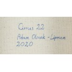 Adam Olczak-Lipman (nar. 1995), Cirrus 22, 2020.