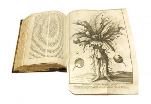 A BIBLICAL DICTIONARY from the books of the Holy Scriptures of the Old and New Testaments collected by Priest Prosper de Aquila [1844].