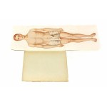 LEKARZ RATUJĄCY ZDROWIE Winternitz Schulz Lofler 1-2 [1929]