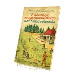 O NIWELACJI I PRZYGOTOWANIU TERENU POD BUDOWĘ DOMKÓW Stefan BIERDZYCKI [1934]