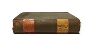 NIWA biweekly devoted to social, political, scientific and literary matters Mstislav GODLEWSKI editor [1885].