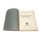 POD KRZYŻEM POŁUDNIA Władysław WAYDA [1921]