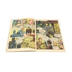 ZATRZYMAĆ NIEBIESKIEGO FIATA KAPITAN ŻBIK [wydanie pierwsze 1980] Jerzy Wróblewski Władysław Krupka
