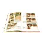 SOSNOWIEC SPACEROWNIK HISTORYCZNY Dariusz Kmiotek [2011]