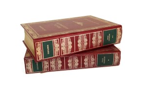 BRACIA KARAMAZOV 1-2 Fyodor DOSTOJEWSKI [Dolnoslaskie Publishing House 1994].